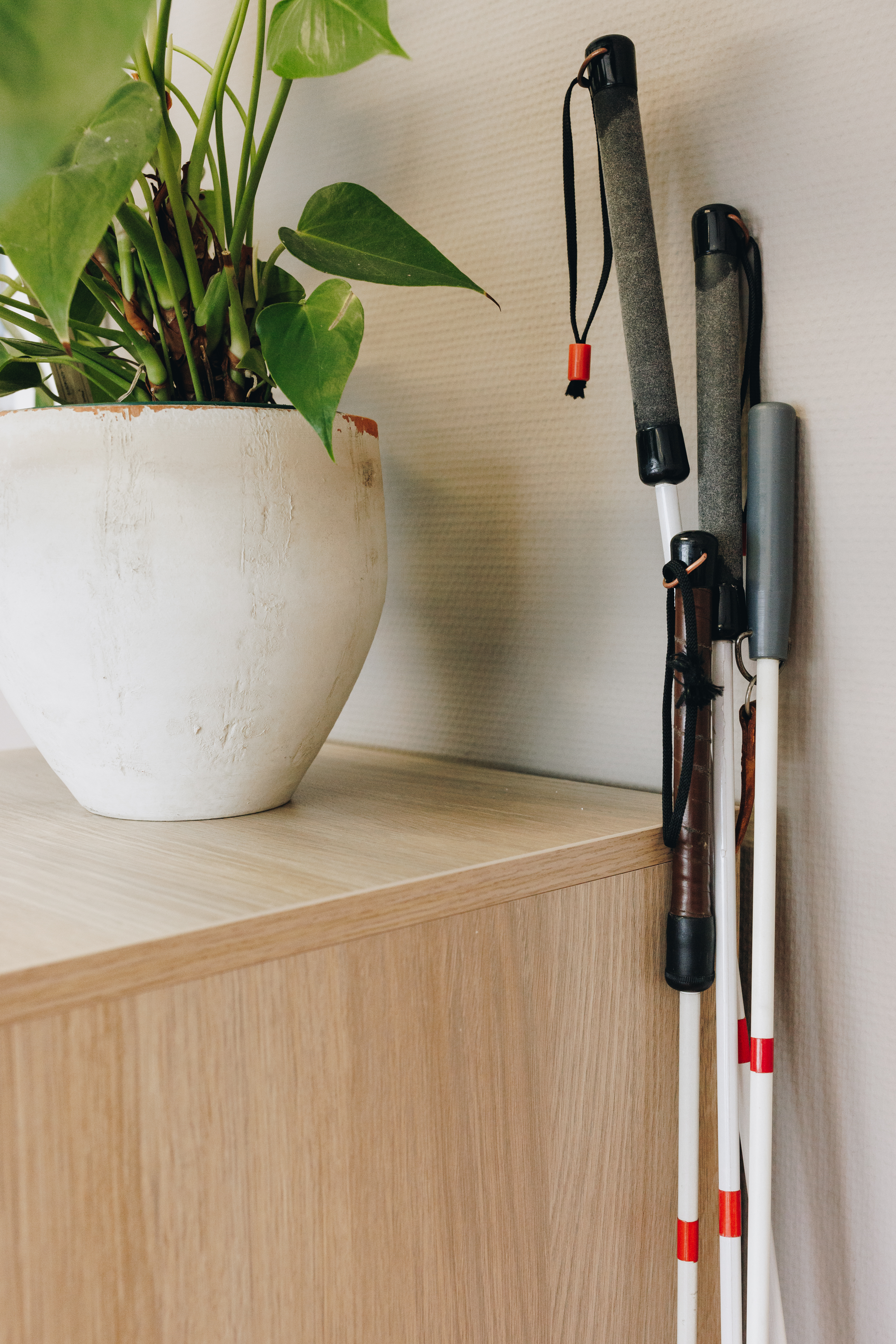 20 04 2023 Irishof Zorgpartners Kast Hulpstok Detail