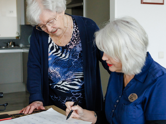 30 10 2024 ZPMH VPT Thuis Client Medewerker Invullen Papier