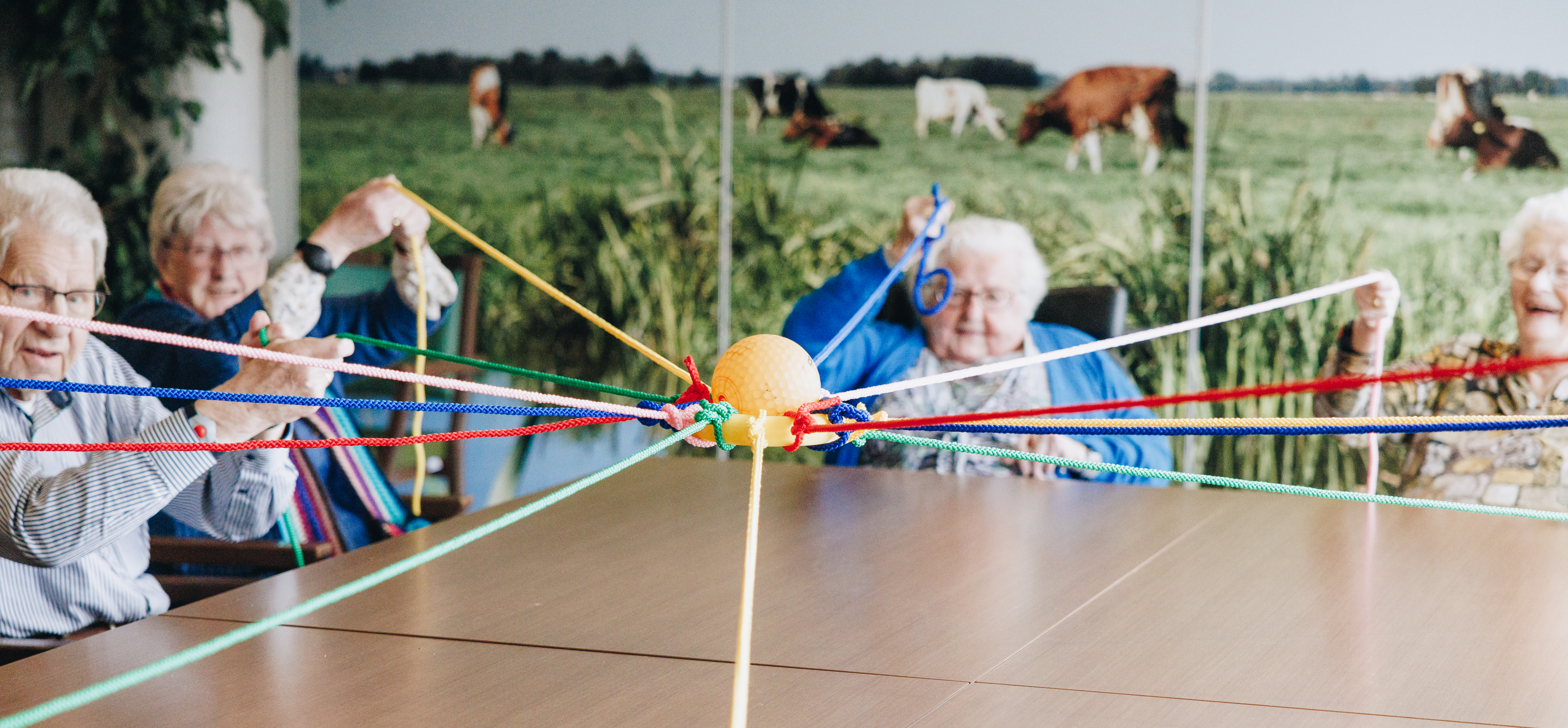 17 02 2023 Zorgpartner Slothoven Bewoners Spel Lijnen Bal Tafel