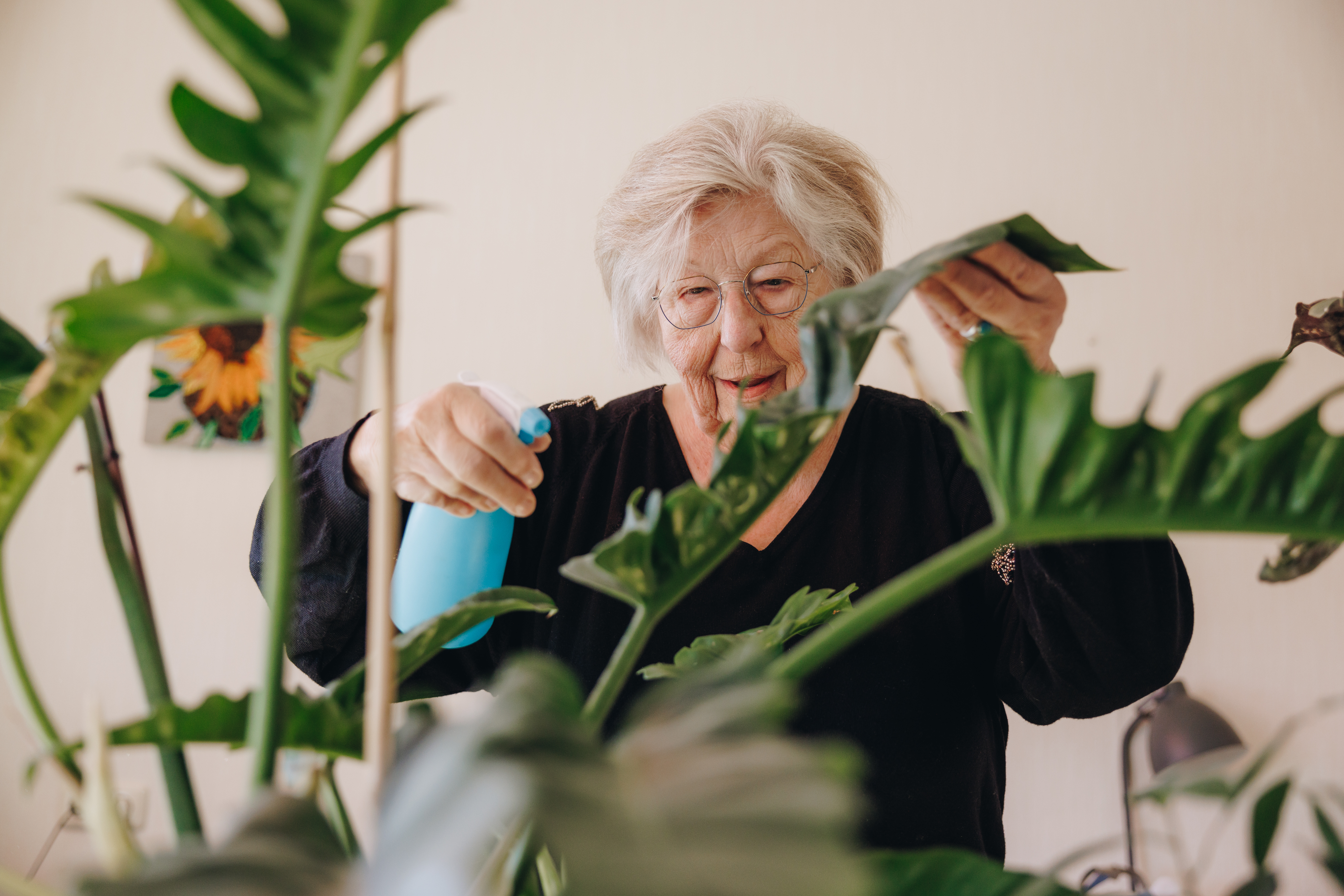 03 04 2023 Gouwestein Zorgpartners Bewoner Planten Plantenspuit Groen