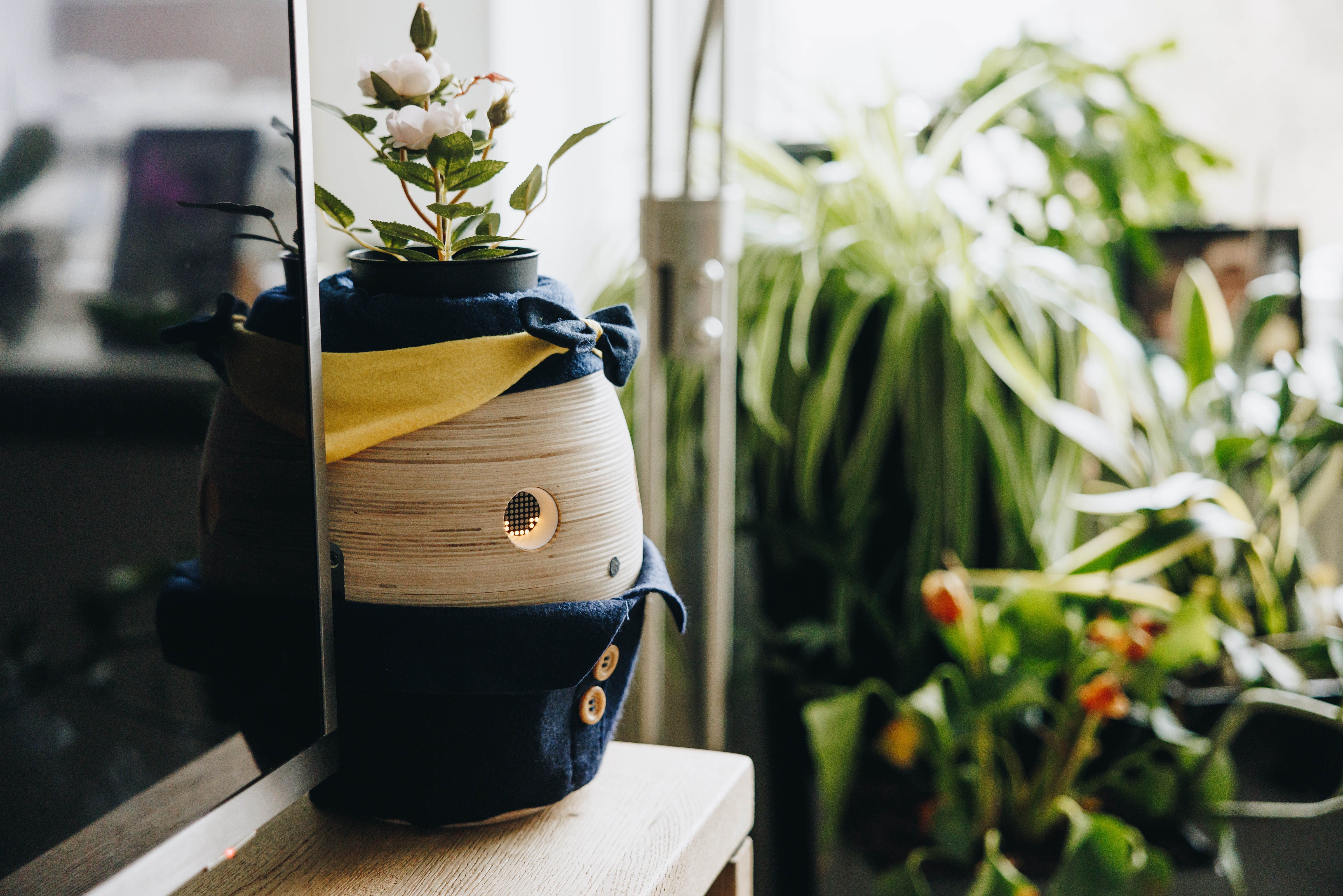 17 04 2023 Zorgpartners Thuiszorg Tessa Zorgrobot Tv Meubel Plant Innovatie