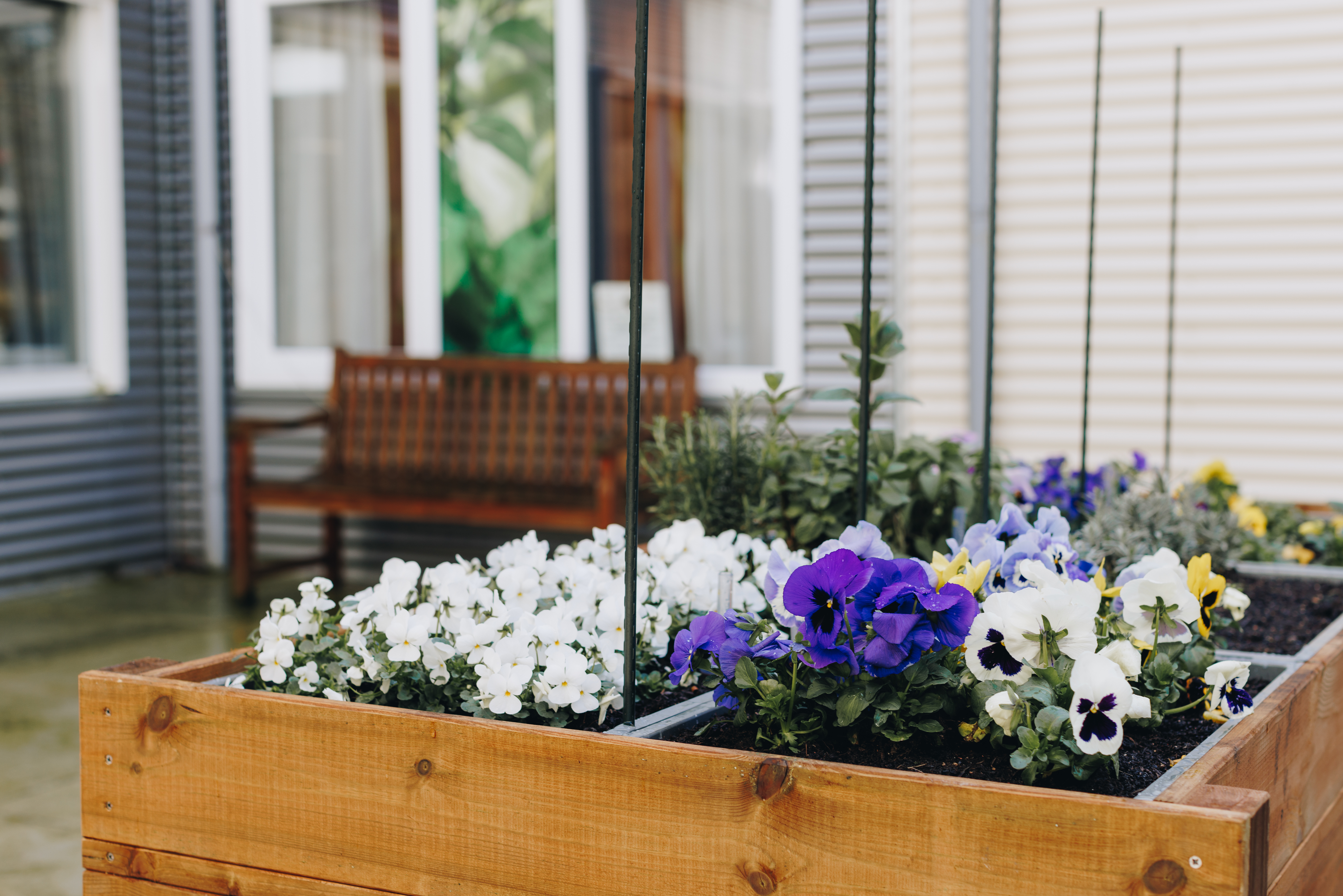 27 03 2023 De Rietkraag Souburgh Zorgpartners Tuin Bloemen Bank Zitten