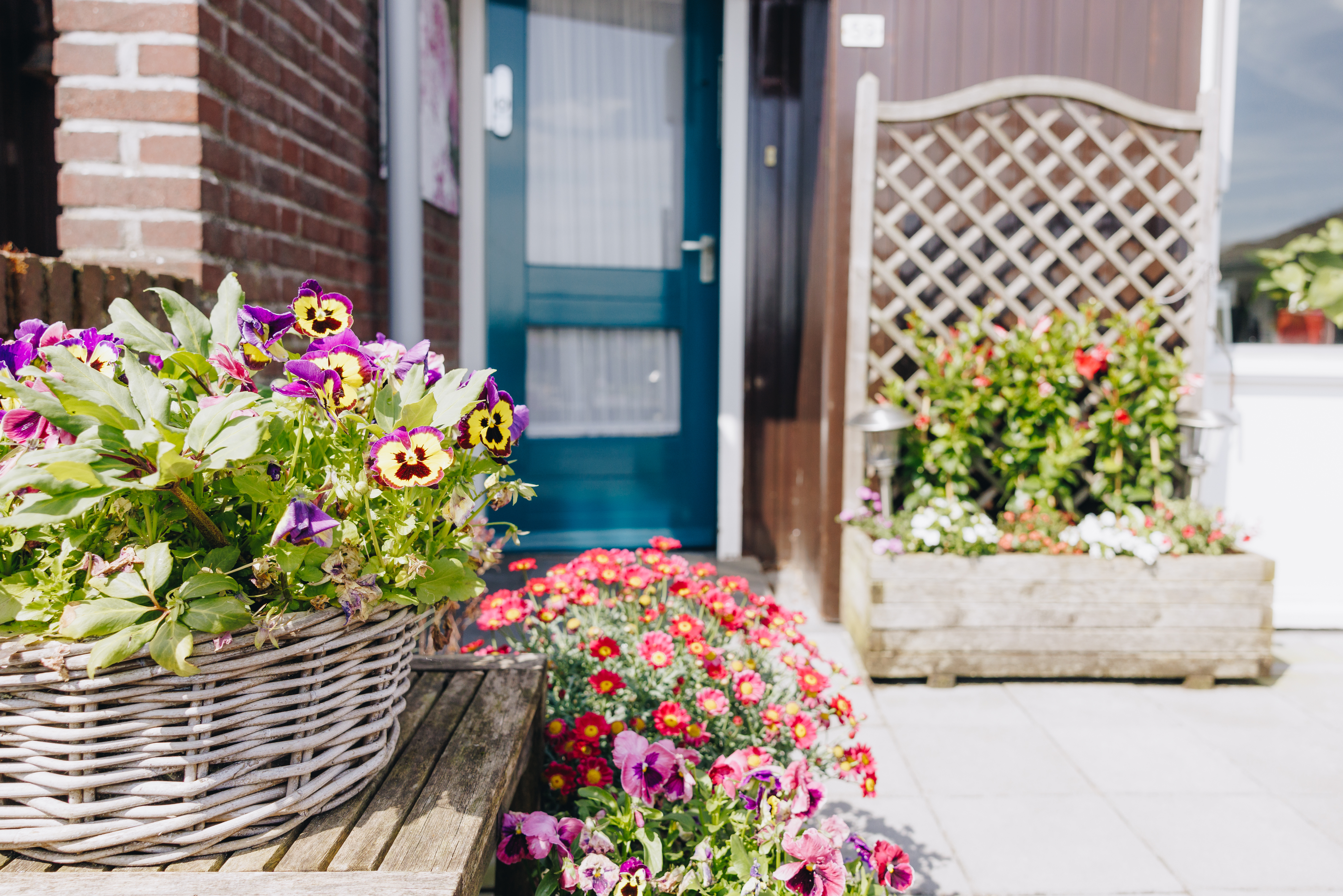 19 05 2023 ZMPH Vastgoed 54