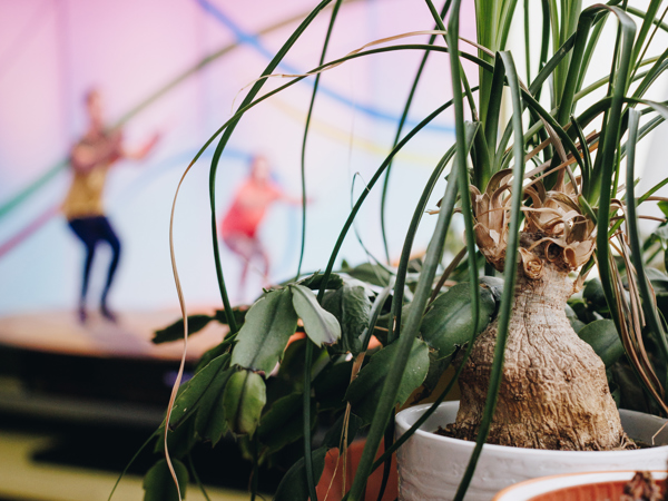 09 03 2023 Zorgpartners De Breeje Hendrick Tv Televisie Nederland In Beweging Plant Staand