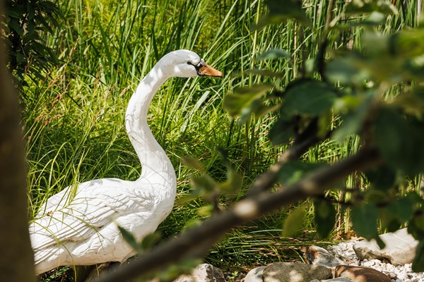 20 07 23 ZPMH Gebouwen En Tuinen Reeuwijk 21